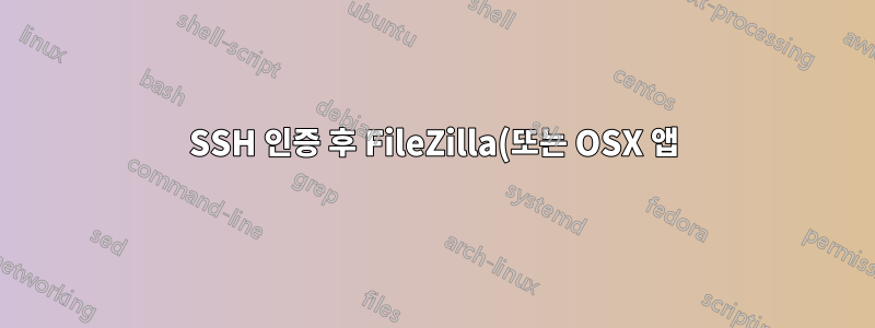 SSH 인증 후 FileZilla(또는 OSX 앱)를 SFTP로