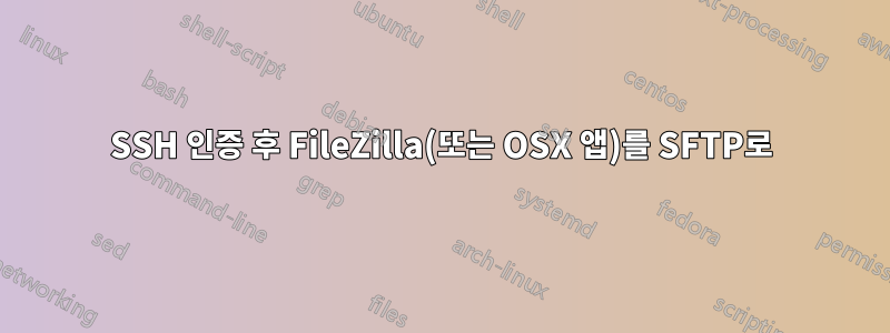 SSH 인증 후 FileZilla(또는 OSX 앱)를 SFTP로