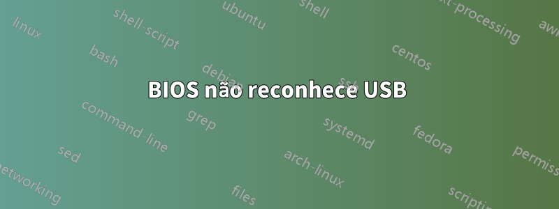 BIOS não reconhece USB