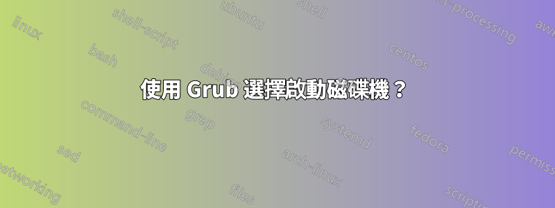 使用 Grub 選擇啟動磁碟機？