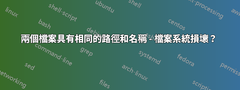 兩個檔案具有相同的路徑和名稱 - 檔案系統損壞？