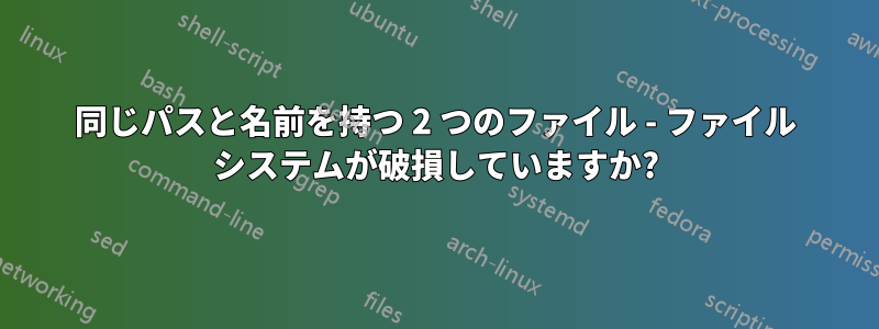 同じパスと名前を持つ 2 つのファイル - ファイル システムが破損していますか?