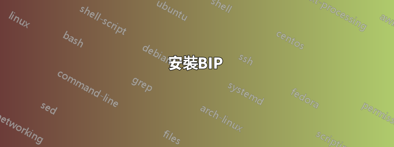 安裝BIP