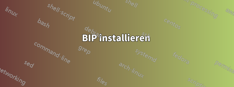 BIP installieren