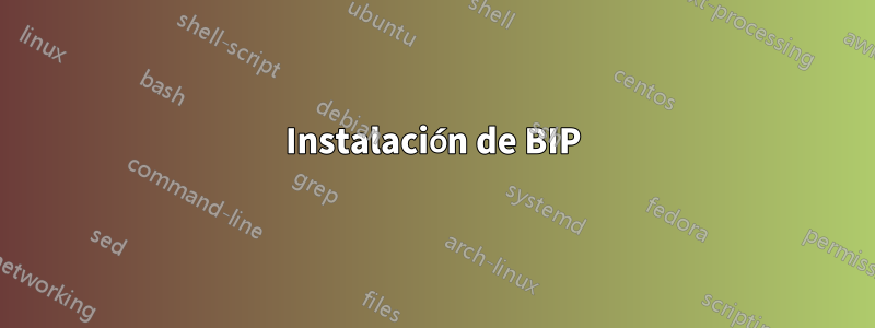 Instalación de BIP