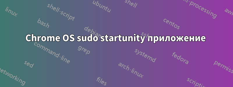 Chrome OS sudo startunity приложение