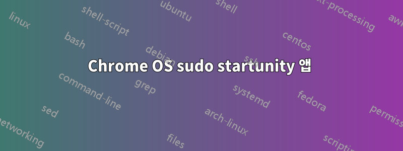 Chrome OS sudo startunity 앱