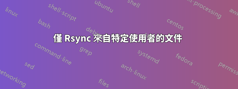 僅 Rsync 來自特定使用者的文件