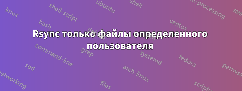 Rsync только файлы определенного пользователя