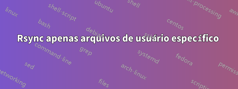 Rsync apenas arquivos de usuário específico