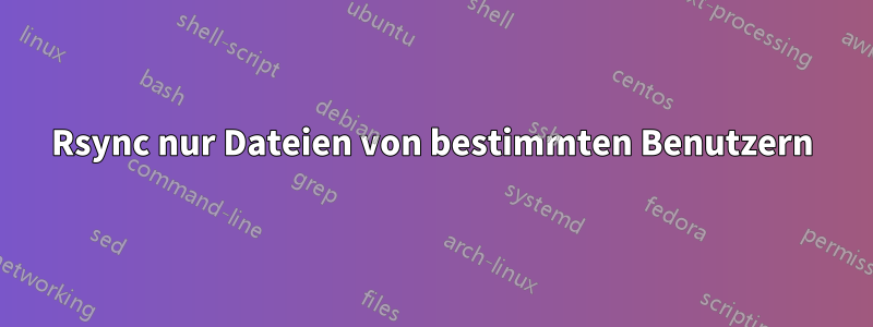 Rsync nur Dateien von bestimmten Benutzern