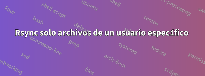 Rsync solo archivos de un usuario específico