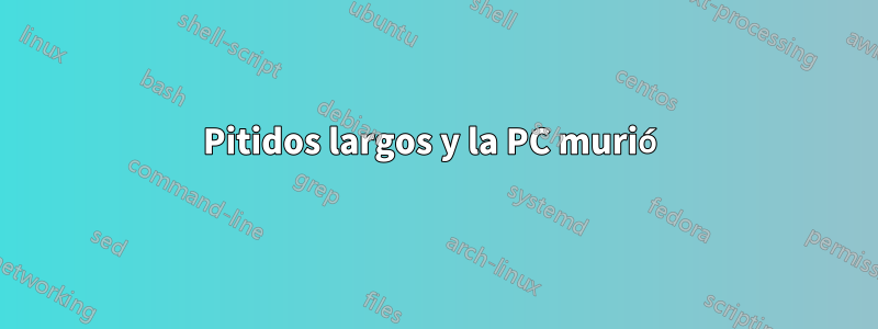 Pitidos largos y la PC murió