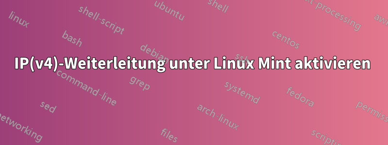 IP(v4)-Weiterleitung unter Linux Mint aktivieren