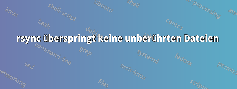 rsync überspringt keine unberührten Dateien