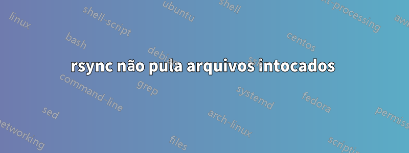 rsync não pula arquivos intocados