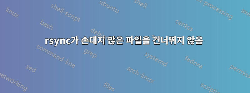 rsync가 손대지 않은 파일을 건너뛰지 않음