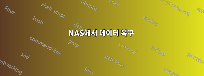 NAS에서 데이터 복구