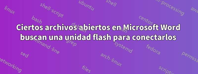 Ciertos archivos abiertos en Microsoft Word buscan una unidad flash para conectarlos