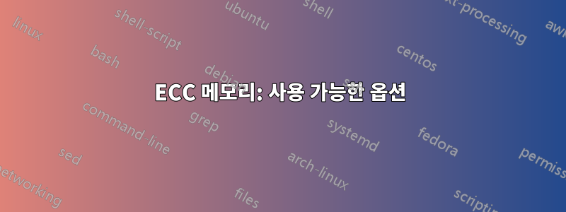 ECC 메모리: 사용 가능한 옵션
