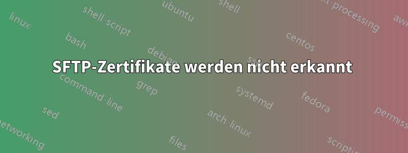 SFTP-Zertifikate werden nicht erkannt