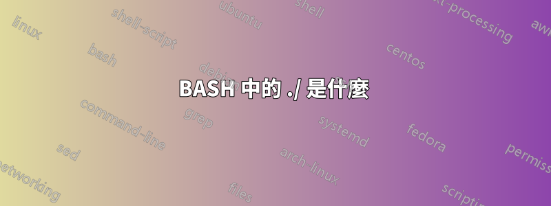 BASH 中的 ./ 是什麼