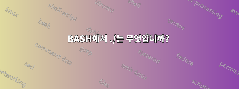 BASH에서 ./는 무엇입니까?