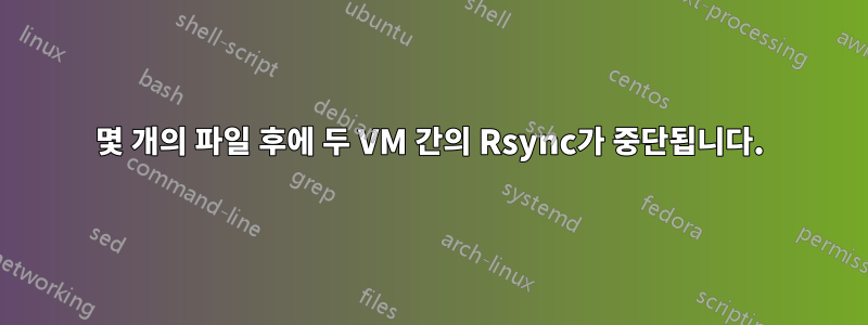 몇 개의 파일 후에 두 VM 간의 Rsync가 중단됩니다.
