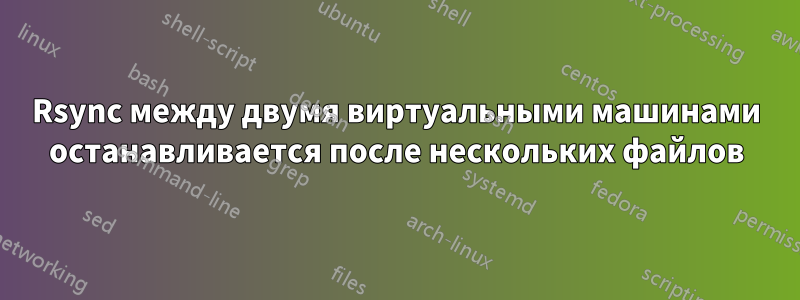 Rsync между двумя виртуальными машинами останавливается после нескольких файлов