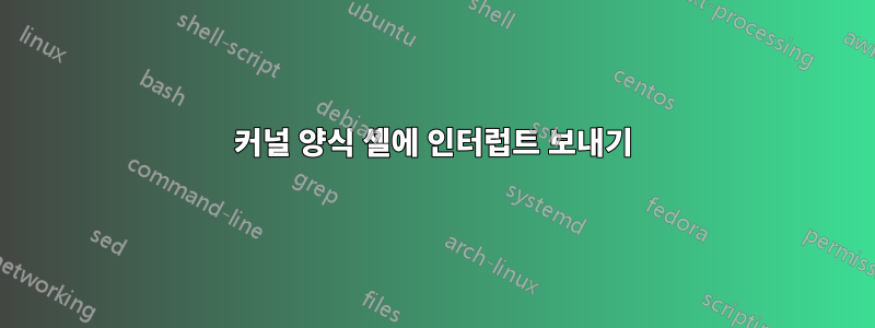 커널 양식 셸에 인터럽트 보내기