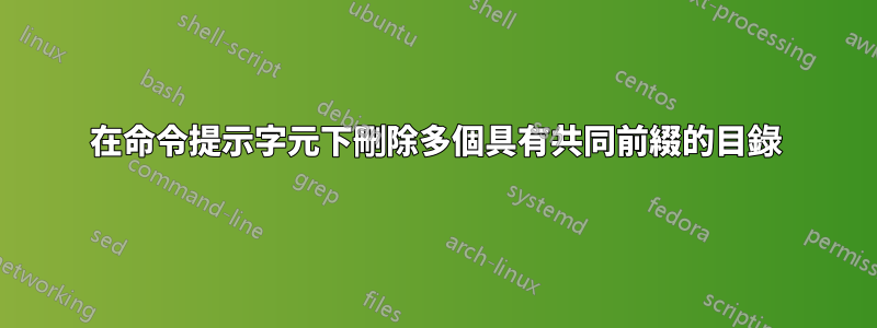 在命令提示字元下刪除多個具有共同前綴的目錄