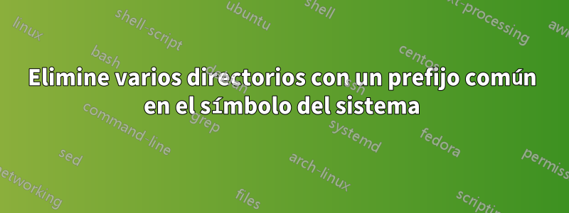 Elimine varios directorios con un prefijo común en el símbolo del sistema