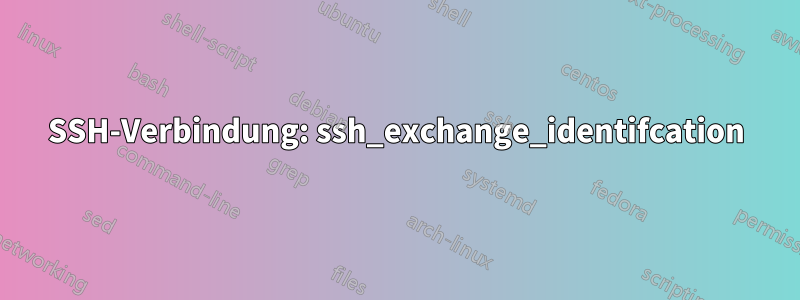 SSH-Verbindung: ssh_exchange_identifcation