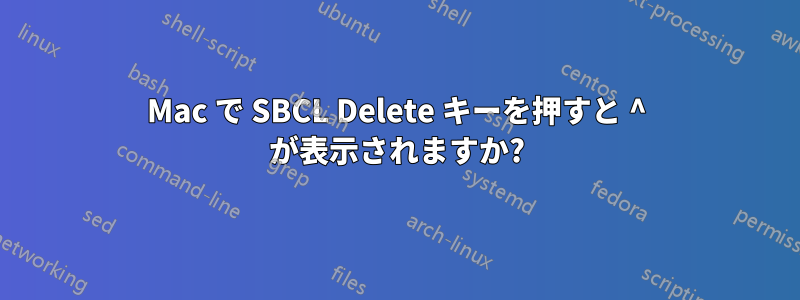 Mac で SBCL Delete キーを押すと ^ が表示されますか?