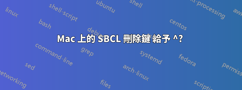 Mac 上的 SBCL 刪除鍵 給予 ^?