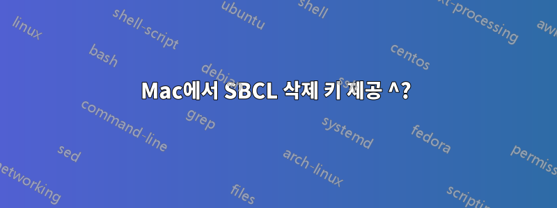 Mac에서 SBCL 삭제 키 제공 ^?