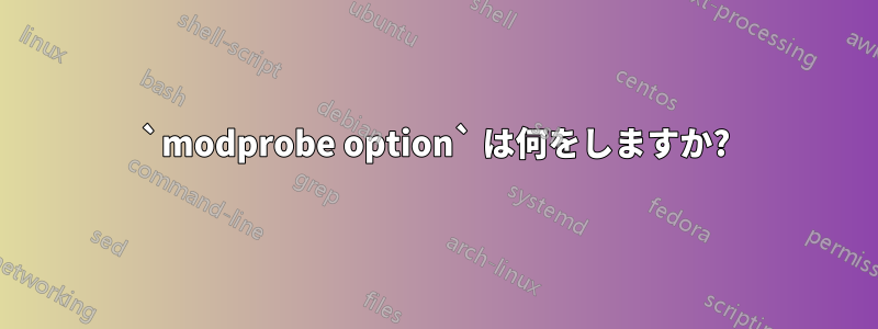 `modprobe option` は何をしますか?