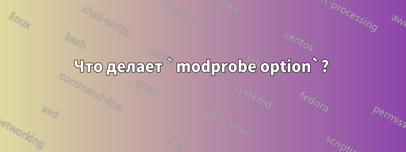 Что делает `modprobe option`?