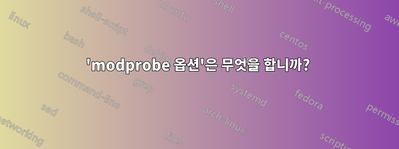 'modprobe 옵션'은 무엇을 합니까?