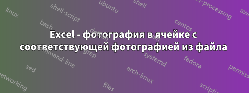 Excel - фотография в ячейке с соответствующей фотографией из файла