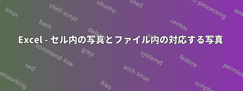 Excel - セル内の写真とファイル内の対応する写真
