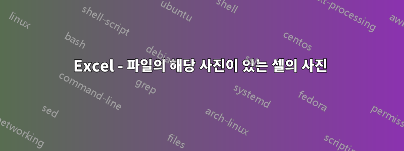 Excel - 파일의 해당 사진이 있는 셀의 사진