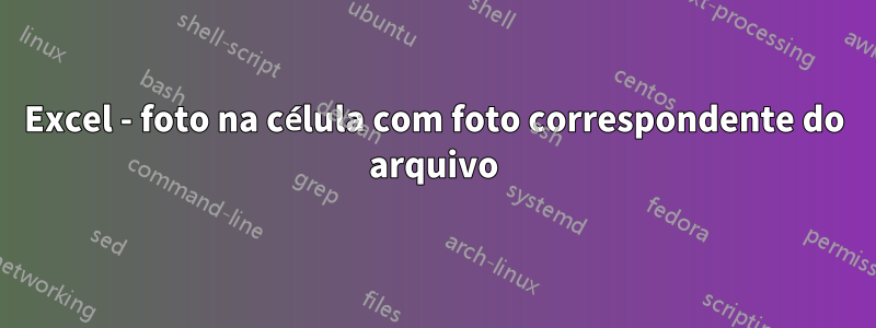 Excel - foto na célula com foto correspondente do arquivo