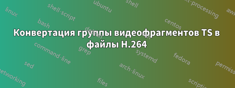 Конвертация группы видеофрагментов TS в файлы H.264