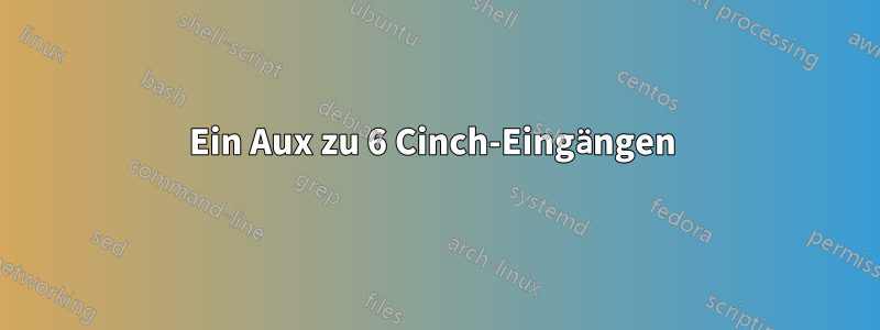 Ein Aux zu 6 Cinch-Eingängen 