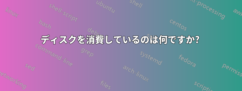 ディスクを消費しているのは何ですか?