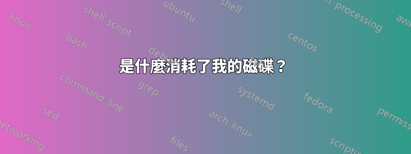 是什麼消耗了我的磁碟？