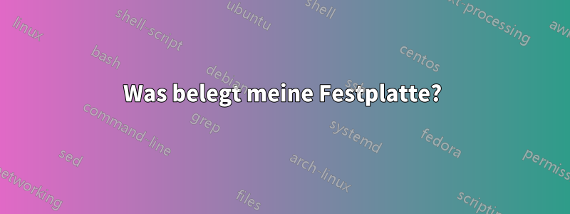 Was belegt meine Festplatte?