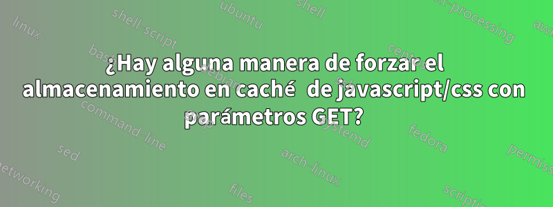 ¿Hay alguna manera de forzar el almacenamiento en caché de javascript/css con parámetros GET?