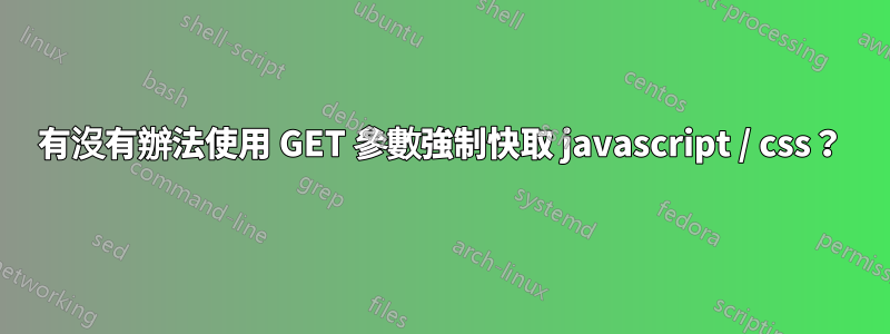 有沒有辦法使用 GET 參數強制快取 javascript / css？